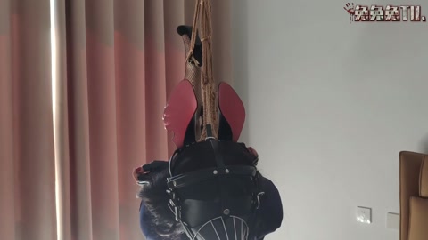 吊缚纯享 第6张