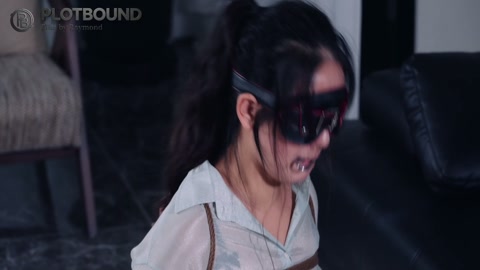 女高管的秘密兼职3 指定那个很像我领导的模特定拍一个很折磨的任务 第6张