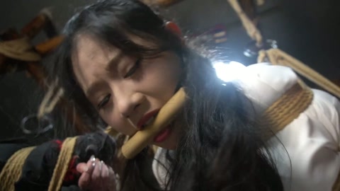 定制女神捕之千金蒙冤案（第一集） 第6张
