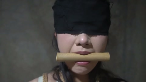 定制女神捕之千金蒙冤案（第四集） 第6张