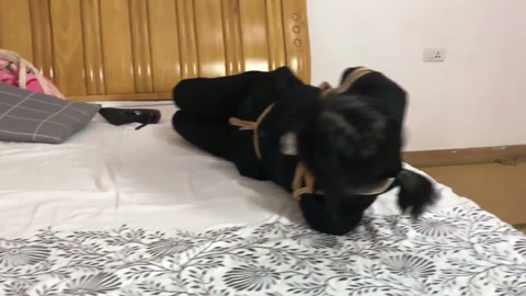 红豆女律师裤里丝 为了不让她出庭 干脆让她驷马 简单粗暴的商战 第6张