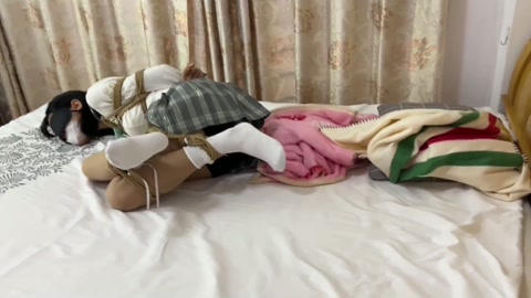 红豆定拍三个姿势三个造型六次封嘴测试不同胶带和堵嘴物的强度 能否挣脱 附带结尾采访 第6张