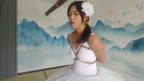 芭蕾裙五花脚镣踮脚放置 第6张