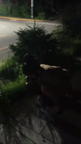 夜晚的露出 第7张