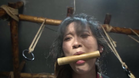 定制女神捕之千金蒙冤案（第一集） 第7张