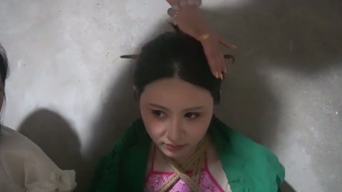 定制女神捕之千金蒙冤案（第五集）完结篇 第7张
