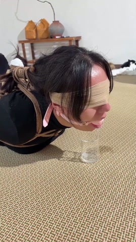 极限驷马柠檬汁挑战 第7张