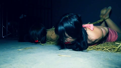 深山囚徒（下集）人贩组织黑吃黑将女人贩青姐也一起绑架贩卖 第7张