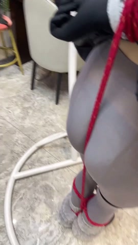 灰丝黑长直可爱学生装，强制罚站紧缚，同时被训练器和郊狼轮番轰炸 第7张