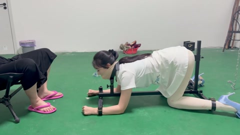 k9架折磨被逼飙脏话 第7张