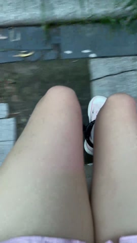 女儿服妹子的脚镣vlog-戴镣外出遛狗 第8张