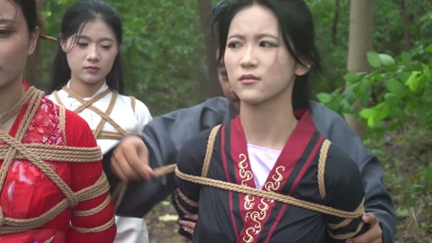 定制女神捕之千金蒙冤案（第三集） 第8张