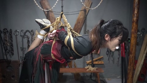 定制女神捕之白莲教（第一集） 第8张
