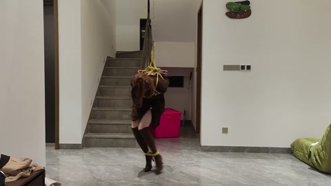 美拉德第五集：喜欢跑是吧 第8张