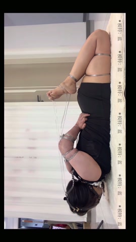 铁丝—马具口球鸡翅驷马放置 第8张