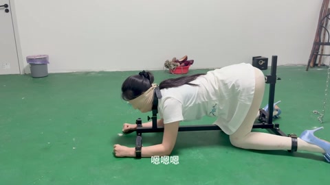 k9架折磨被逼飙脏话 第8张