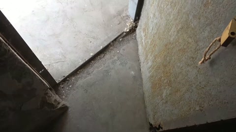 城中桃李愁风雨 上集 第9张