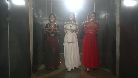 定制女神捕之千金蒙冤案（第一集） 第9张