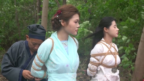 定制女神捕之千金蒙冤案（第三集） 第9张