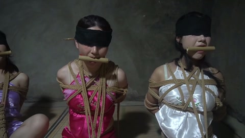 定制女神捕之千金蒙冤案（第四集） 第9张