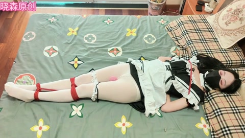 晓森妹妹女仆白丝的单人放置及td放置qg 第9张