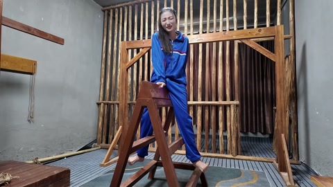 木马审讯佳佳 第9张