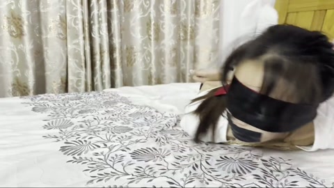 琳媚好久没来了 她今天就想被驷马 就想被玩 就想被放置 当然要满足她 第9张