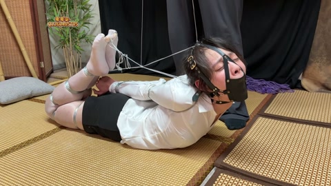 细铁丝极限欧式直臂并肘驷马，极度痛苦！绝望嚎叫！ 第9张