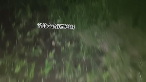藤条！外景，镣铐 车内劫持逃跑失败 第9张