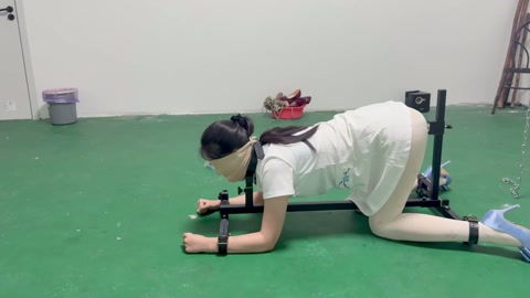 k9架折磨被逼飙脏话 第9张