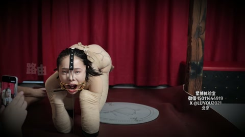 人儿犬 美人俯身为犬，被束缚四肢 不能站立只能爬行 嘴巴鼻子都被禁锢 甚至不能做出任何表情 口水直流... 第10张