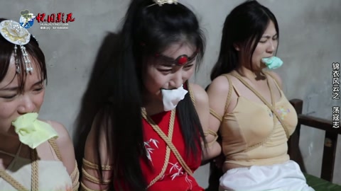 古装巨制锦衣风云2之荡寇志（第四集） 第10张