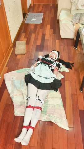 可爱女仆的日常训练——打屁股与qg 第10张