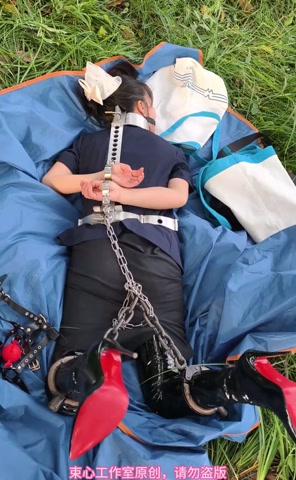 星尘职业套裙，金属脖腰手固定，马具口球，脚镣，游乐场小树林行走 第10张