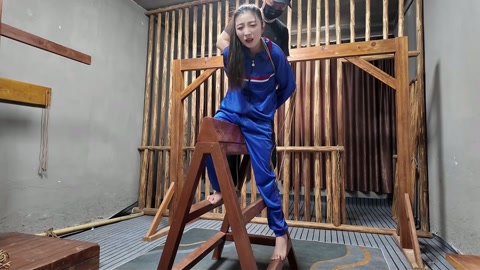 木马审讯佳佳 第10张