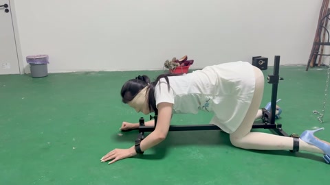 k9架折磨被逼飙脏话 第10张