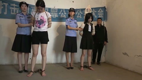 城中桃李愁风雨（下集） 第11张
