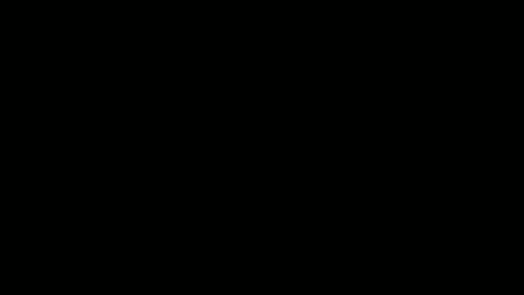 姐妹的陷阱 第11张