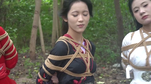 定制女神捕之千金蒙冤案（第三集） 第11张