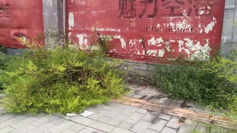 小姑娘户外玩耍全是人 第11张