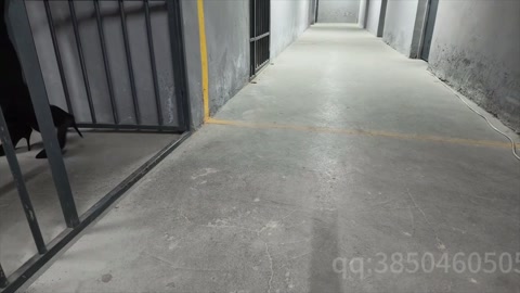恶魔的毁灭（下集） 本剧由知名模特雅熙首次合作拍摄，陈红被二次抓捕，为了惩罚对她更加严厉铐上了，后手... 第11张