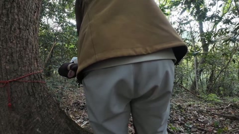 户外小树林二人悬吊 第11张