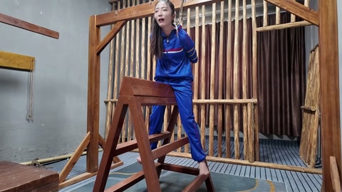 木马审讯佳佳 第11张
