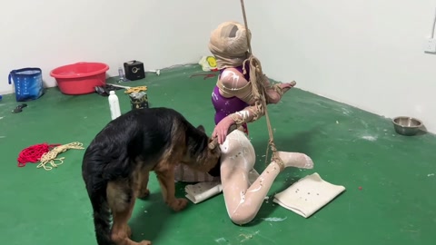 狗丈夫的小蛋糕 第11张