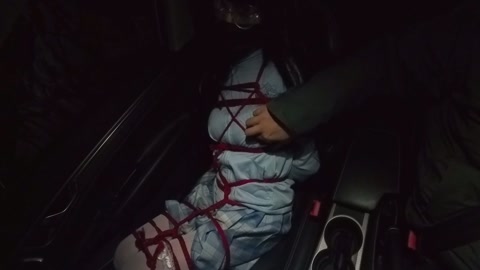 车内绑架开出去溜一圈，期间她紧张的不行，还要被S乱摸 第11张