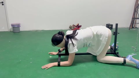 k9架折磨被逼飙脏话 第11张