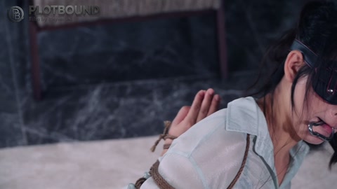 女高管的秘密兼职3 指定那个很像我领导的模特定拍一个很折磨的任务 第12张
