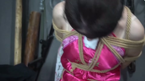 定制女神捕之千金蒙冤案（第五集）完结篇 第12张