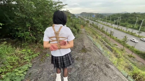 小叶林间奇遇记（上） 第12张