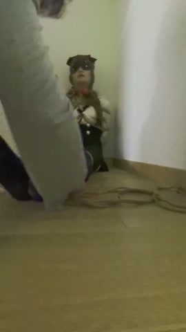 惩罚JK女、蒙眼束缚行走、奴性调教、超大口球、紧缚放置 第12张
